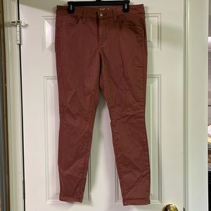 Universal Thread mid-rise Skinny Jeans